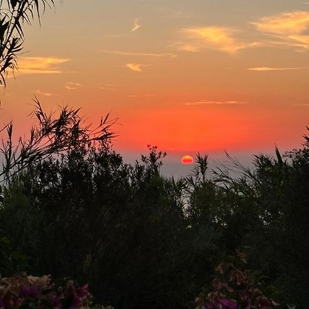 Villa Moma Giardino, Tennis E Piscina Panoramica Ischia Luaran gambar